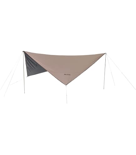 Amazon.co.jp: Tarptent V2 Carbon Pole 2本SET : スポーツ＆アウトドア